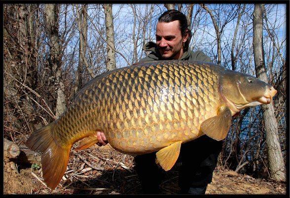 crapi mari - 3148382849904582965581906088951n.jpg